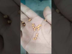 W pełni automatyczna linia do produkcji pelletu pływającego dla ryb 100-160kg/h