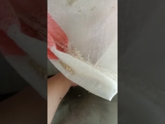 Wytłaczarka do paszy dla ryb o dużej pojemności. LS Inverter marki z certyfikatem CE