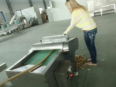 Kibble Food Pet Dog Cat Treat Machine Extruder Equipment BV Certyfikacja