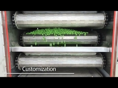 Wytłaczarka do karmy dla zwierząt domowych LG Inverter 500kg/H z piekarnikiem