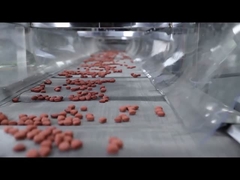 W pełni automatyczna linia do wytłaczania karmy dla psów z certyfikatem CE