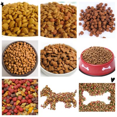 Dry Pet Food Processing Machine / Advanced Dog Food Making Machine