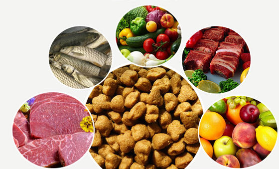 Maszyna do produkcji suchych granulek karmy dla psów ze stali nierdzewnej SBN