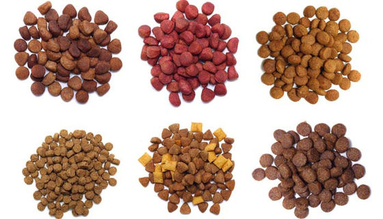 Automatyczna suchy Kibble Pies i kot karmienie Maszyna tworząca extruder dwukrętowy