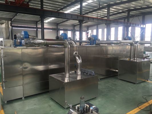 High Output Large Capacity Dog Biscuit Making Machine Automatic