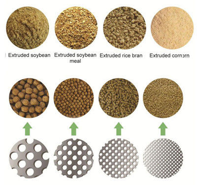 wielofunkcyjna maszyna do ekstruzji paszy dla ryb, chroniąca środowisko, o wielu energiach i wielu mocach