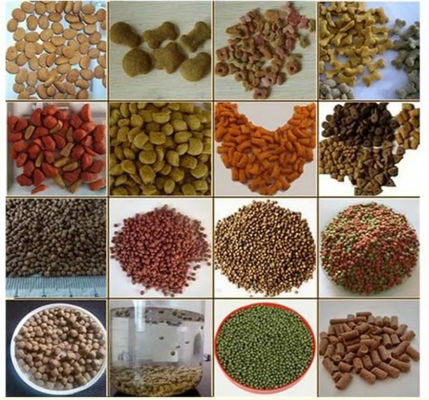 4t/H Ekstruder do paszy dla ryb wodnych ze stali nierdzewnej z silnikiem Siemens