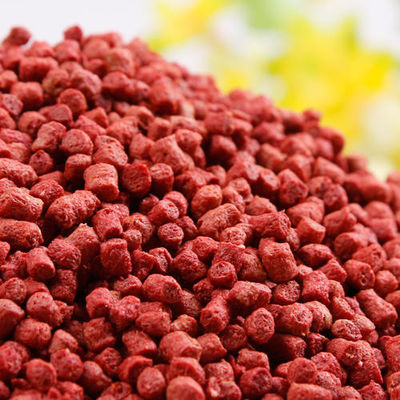 Przemysłowy 220V dwuskrut 100kg/hr Ekstrudor paszowy dla ryb