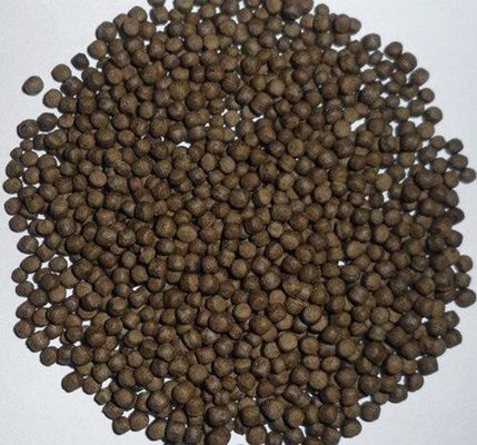 SS201 Floating Fish Feed Production Line 200-260 Kg/Hr Fully Continuous