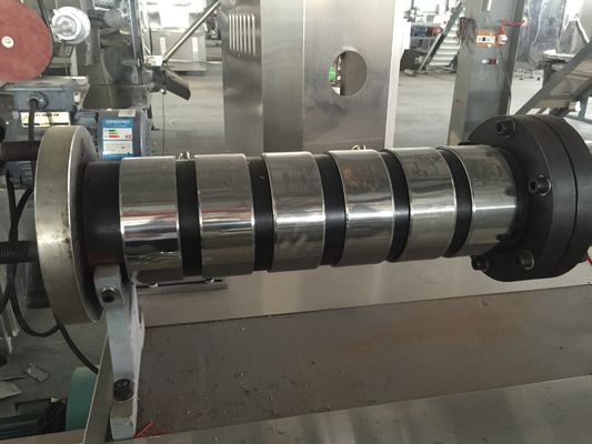 Linia do produkcji pływającego paszy dla ryb o wydajności 100 kg/h