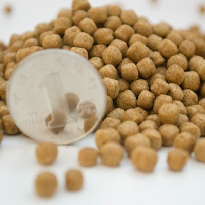 2-3 TPH pływający ekstruder pasz dla ryb ze stali nierdzewnej 201