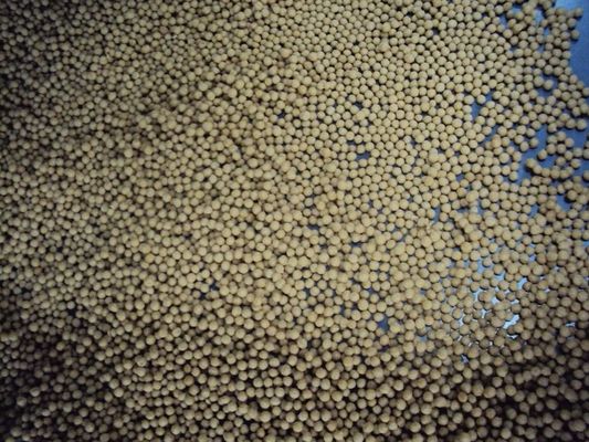 SS304 Małe zwierzęta domowe, wędki, łososie, ekstrudery paszy ryb, maszyna do karmienia ryb