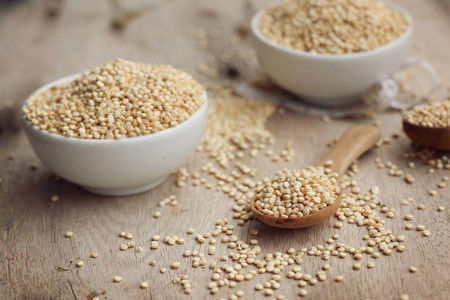 Małe zwierzęta domowe, koty, krewetki, karmy, maszyna do produkcji różnych form