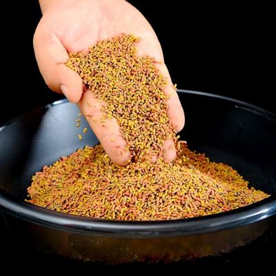 2000-6000 kg/h Płynne pasze dla ryb Ekstrudery maszyny paszowe