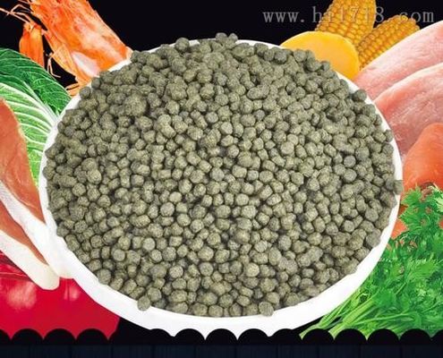 400-500 kg/h Wkrętowy ekstruder do rybnych pelet Mała pływająca maszyna do karmienia ryb