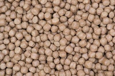 Producent pasz rybna fabryka wytłaczaczy do maszyn do żywności rybnej