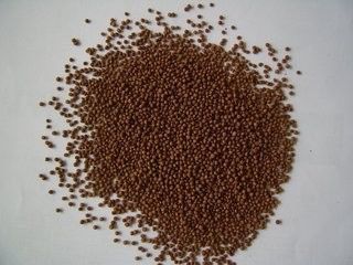 200-260KG/H Maszyna do produkcji pelletu paszowego dla ryb z dwoma ślimakami