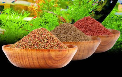 200-260KG/H Maszyna do produkcji pelletu paszowego dla ryb z dwoma ślimakami