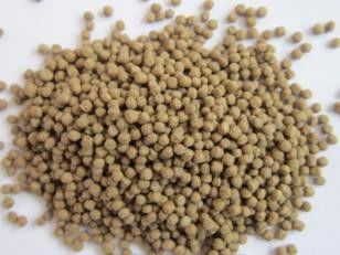 500-600 kg/h Płynąca maszyna do produkcji pasz dla ryb dla akwakultury