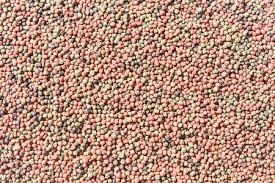 100 kg/h-6t/h Ekstrudor z dwoma śrubokrętami do karmienia ryb dla pływającej maszyny do karmienia ryb