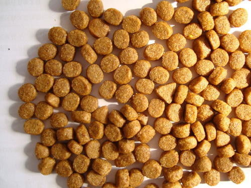 Maszyny do produkcji żywności rybnej