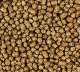 Maszyny do produkcji żywności rybnej