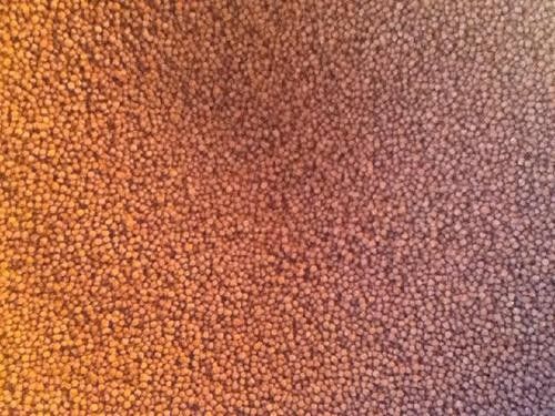 Wytłaczarka do paszy dla ryb z dwoma ślimakami o dużej wydajności