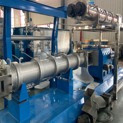 Linia do produkcji pływającego paszy dla ryb o wydajności 100 kg/h
